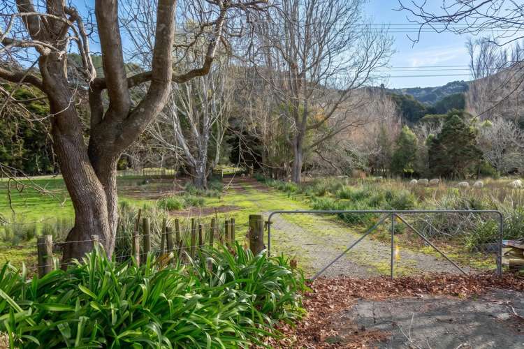 427 Tinui Valley Road Tinui_16