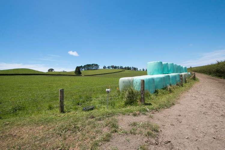 305 Waihi Beach Road Waihi_6