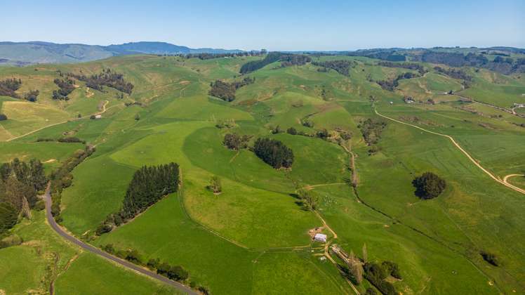 356 Lurman Road Otorohanga_2