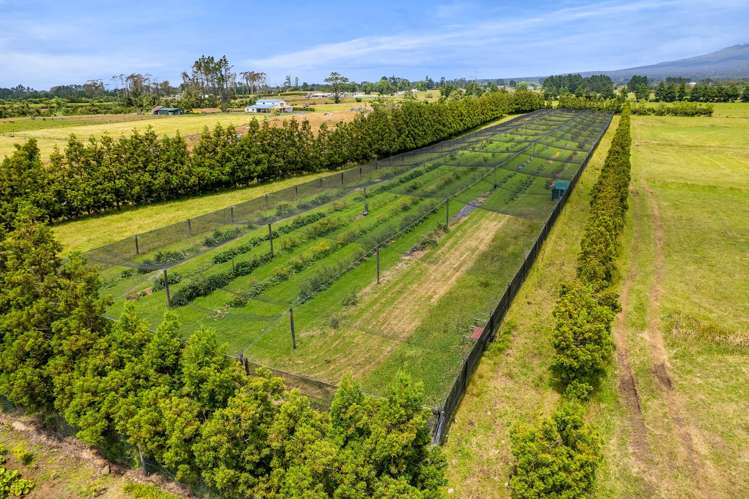 438B Alfred Road Egmont Village_47