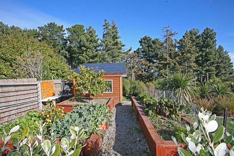 7 The Ridge Kennedys Bush_26