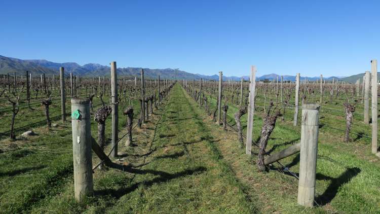 708 Waihopai Valley Road Waihopai Valley_21