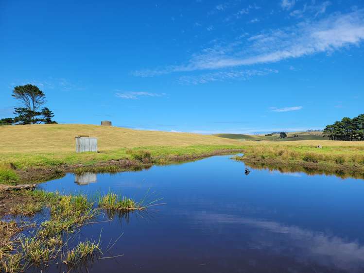 1008 Te Maire Road Te Kopuru_9