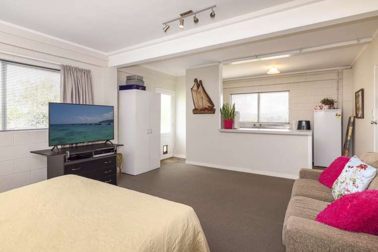 358 Ngatai Road Bellevue_17