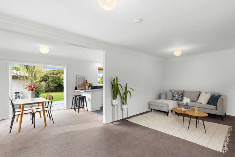 17 Veronica Avenue Marewa_9