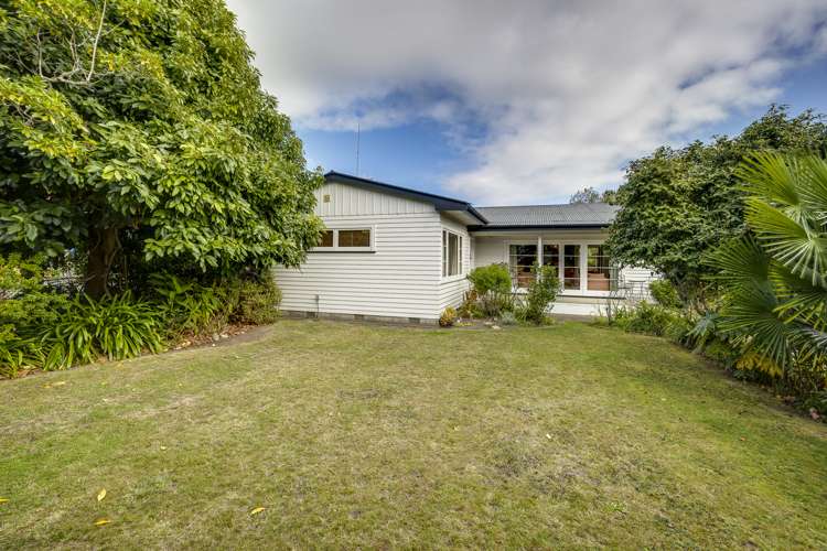 104 Avondale Road Taradale_6