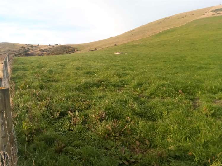 265 Glenfalloch Road Catlins Surrounds_9