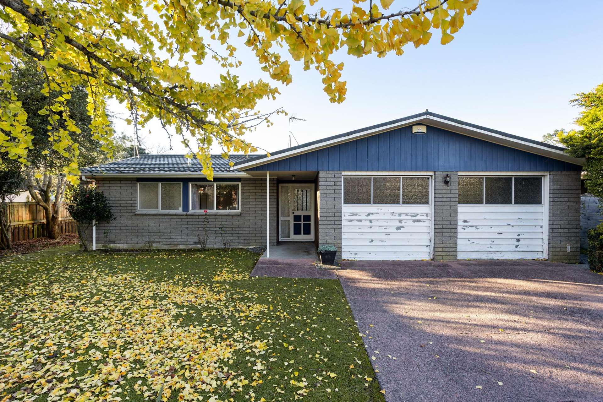 79 Gilbass Avenue Hamilton Lake_0