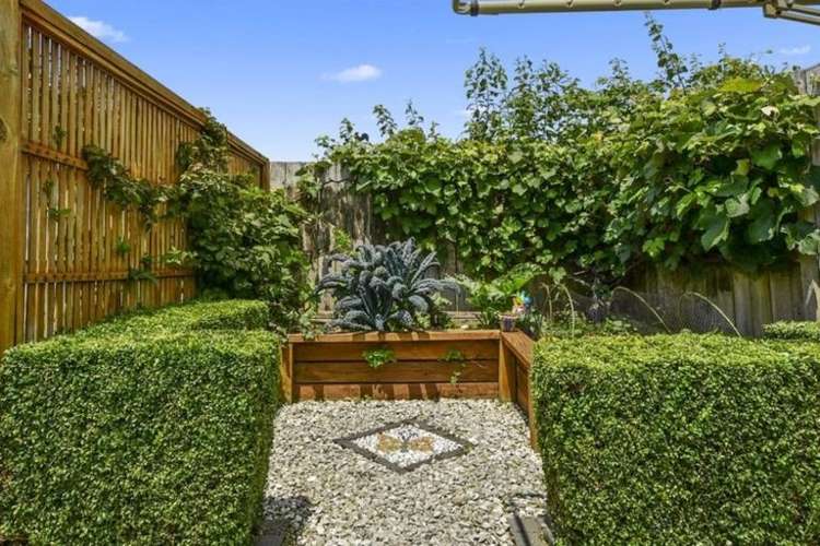 1 Acton Vale Rototuna North_11