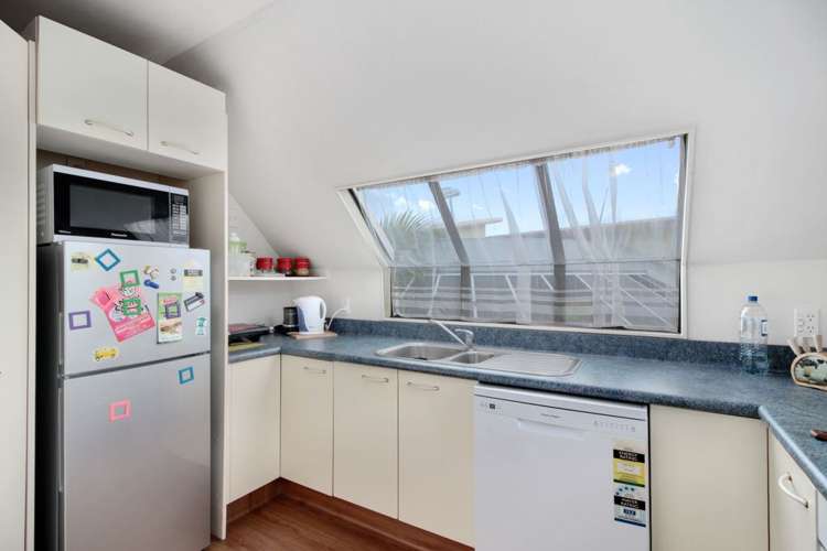 444b Tristram Street Whitiora_2