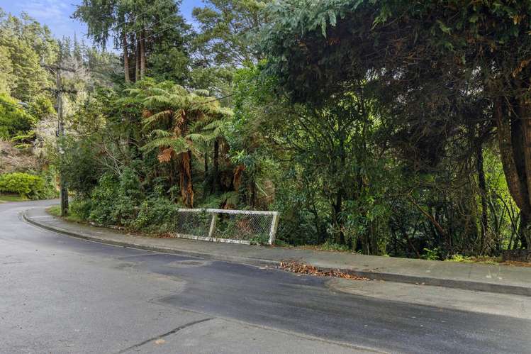 81 Wyndham Road Pinehaven_1