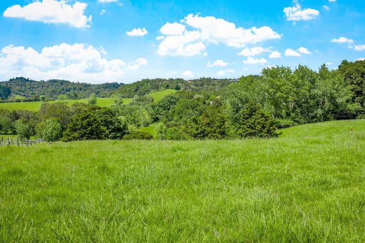 26 Wilson Road Warkworth_7