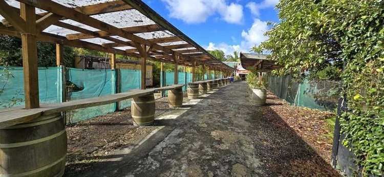 163 Airfield Road Takanini_6