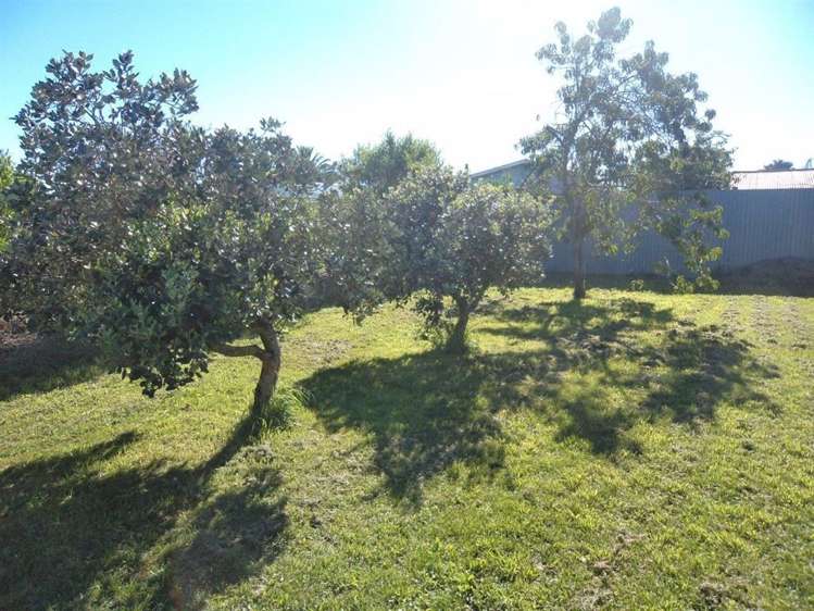 94 Cameron Crescent Masterton_15