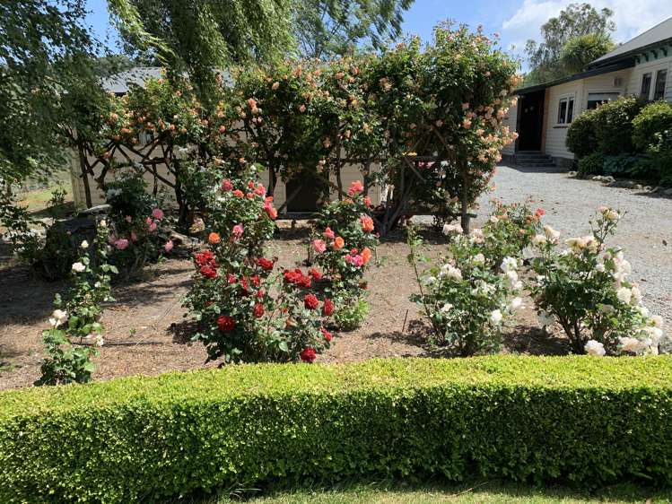 31 Mckenzie Street Geraldine_19