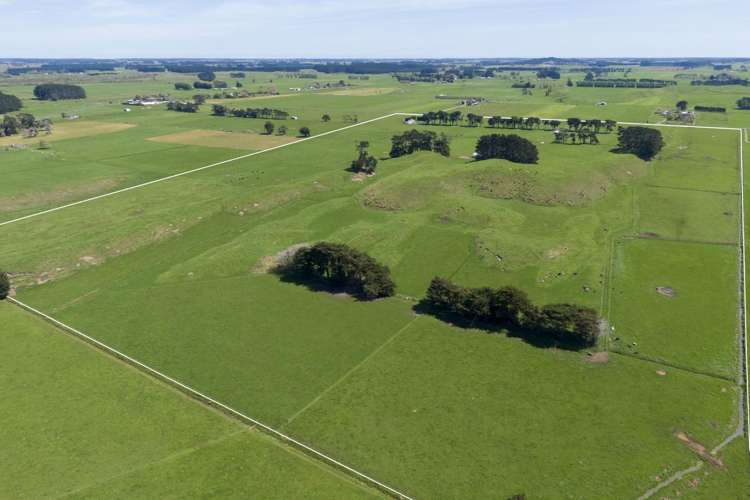 335a Couper Road Glen Oroua_12