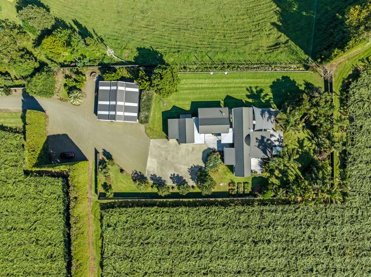 304 Tablelands Road Opotiki_34