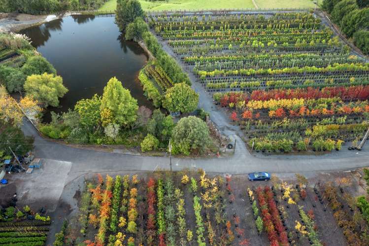 774 Dairy Flat Highway Dairy Flat_3