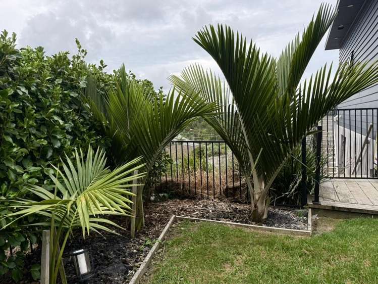 4 Manuka Close Mangawhai_15