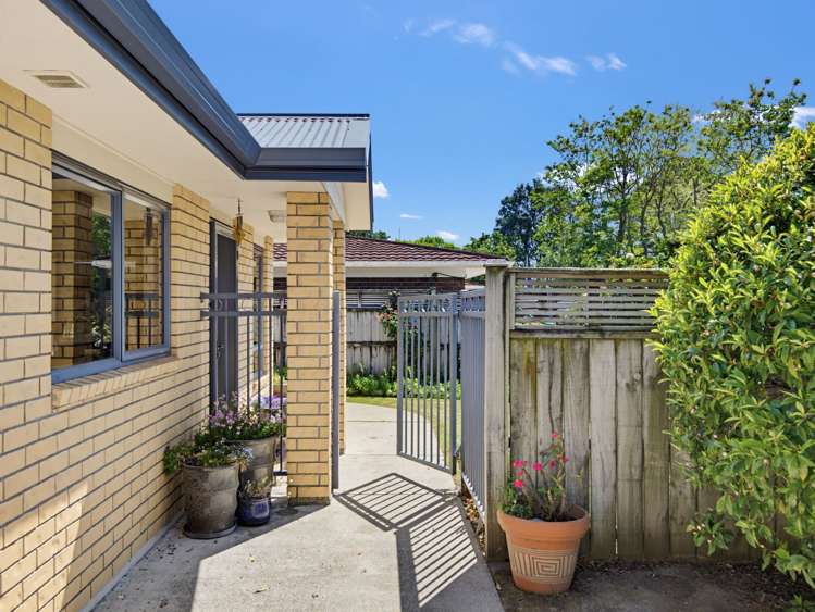 96A Domain Road Whakatane_4