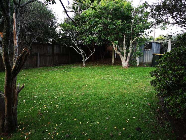 54A Francis Street Hauraki_13