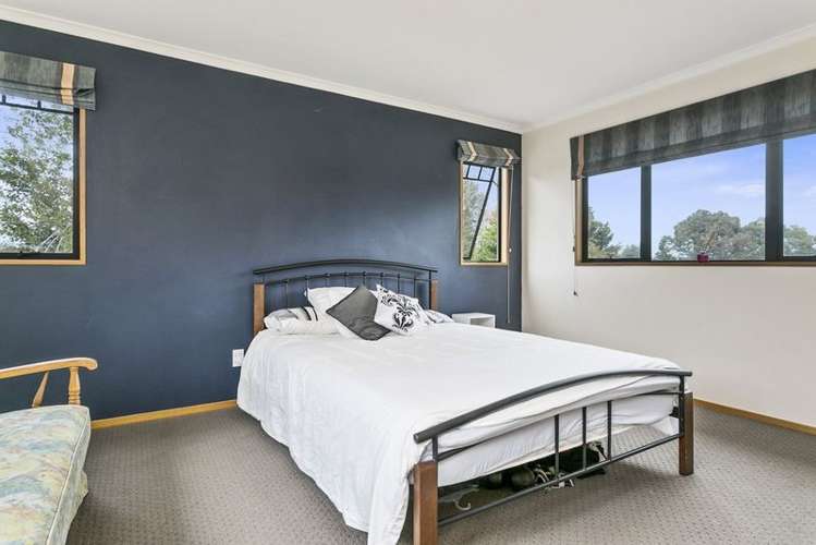 31 The Terrace Tamahere_8