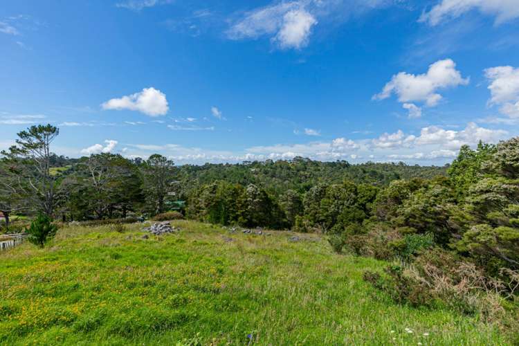 249e Wright Road Dairy Flat_11