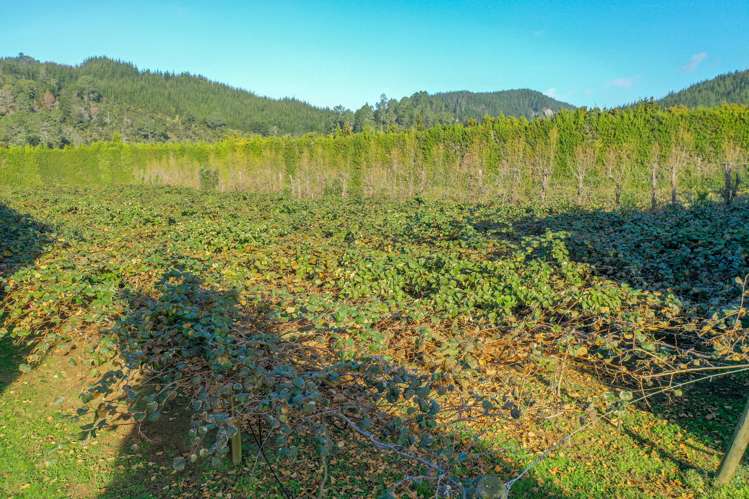 32 Gooseberry Grove Pauanui_5