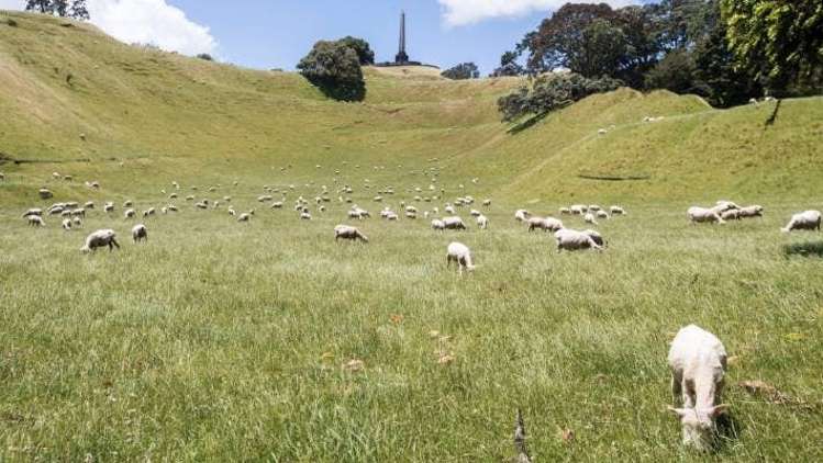 1/696 Manukau Road Royal Oak_20