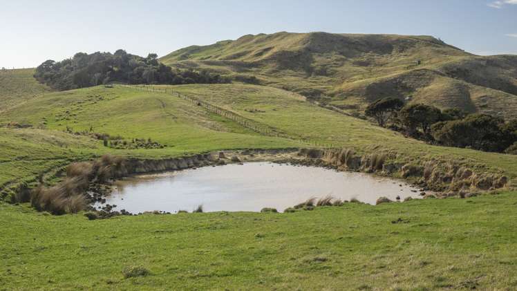 338 Tinui Valley Road Tinui_13