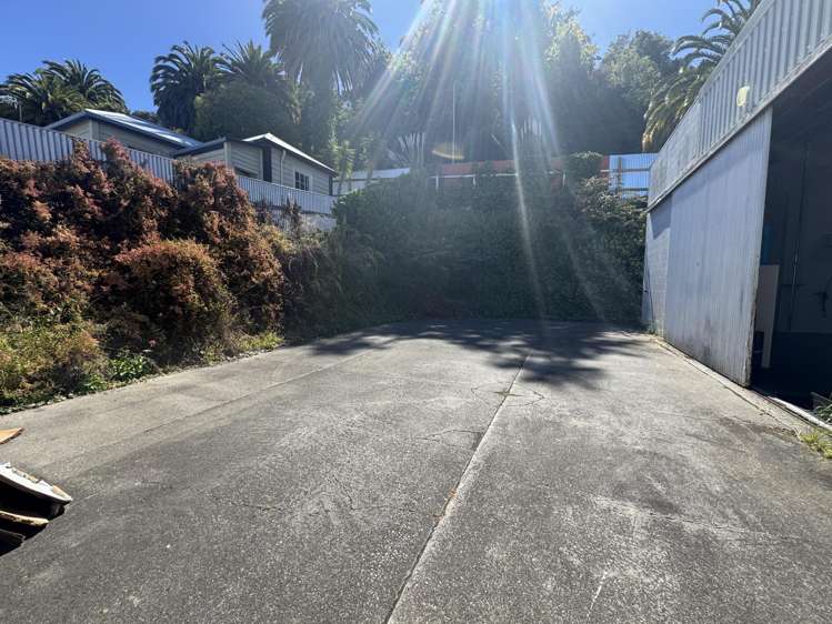 25 Carlyle Street Napier South_6