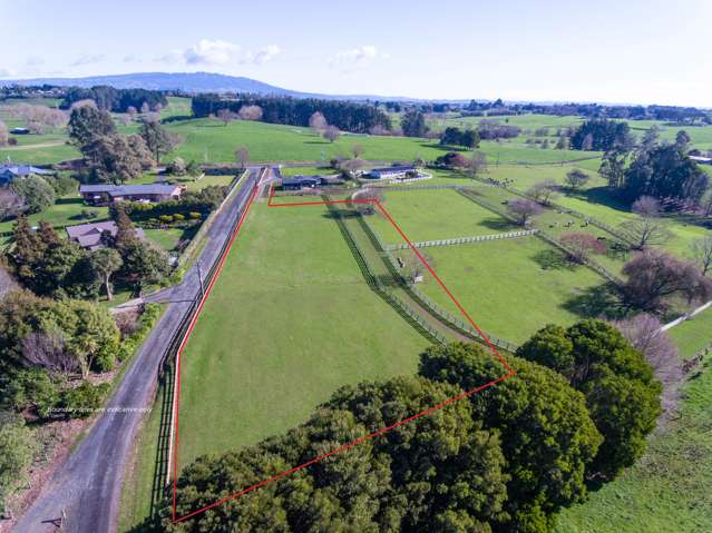 986 Bond Road Te Awamutu_2