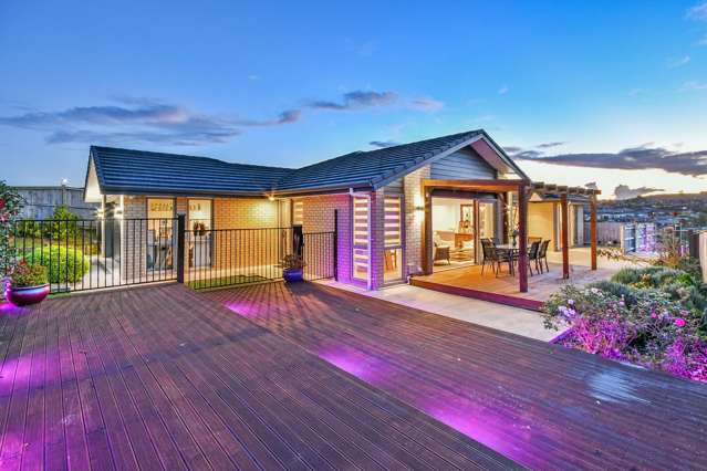 45 Hillpark Drive Pokeno_1