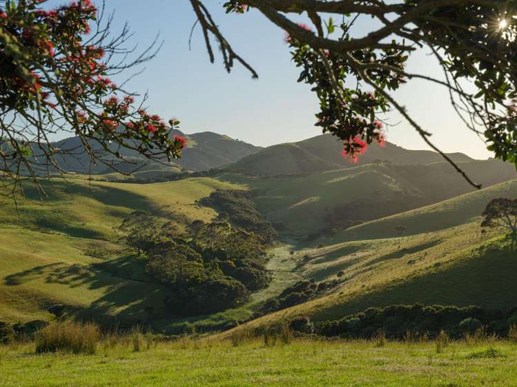 Address withheld Kerikeri_10