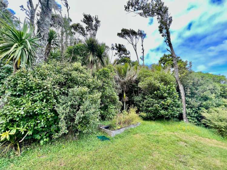 724a Ruapuke Road Raglan_49