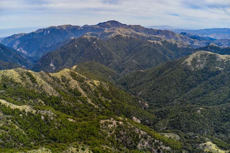 20 Moana Road Kaikoura_17