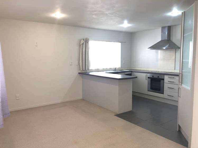 15 Sanft Avenue Mt Roskill_4
