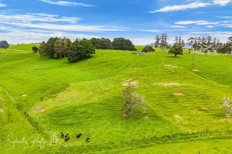 67 Taipuha Settlement Road Paparoa_52