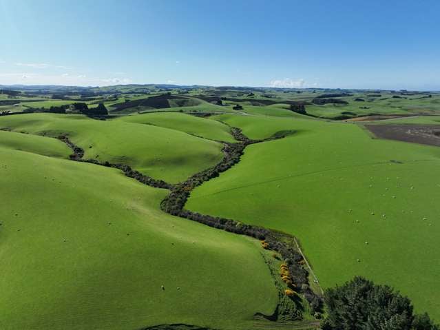 276 Middleton Road Waimahaka_1