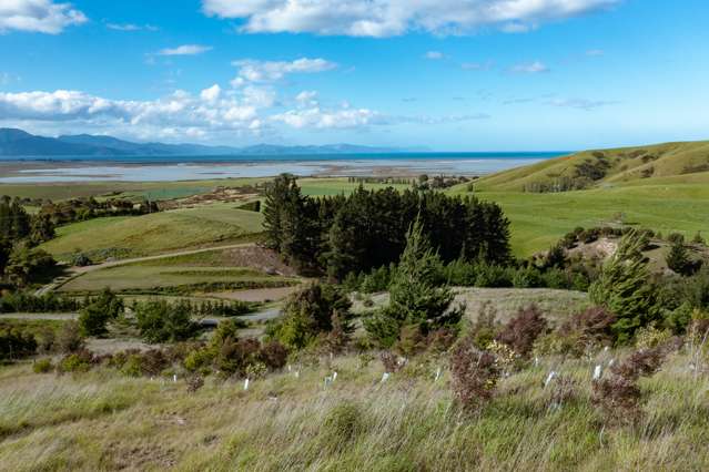 Redwood Pass Road Redwood Pass_3