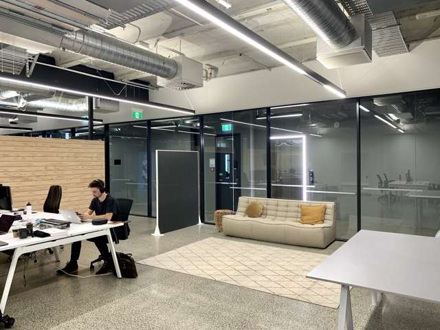 22 Pollen Street Grey Lynn_1