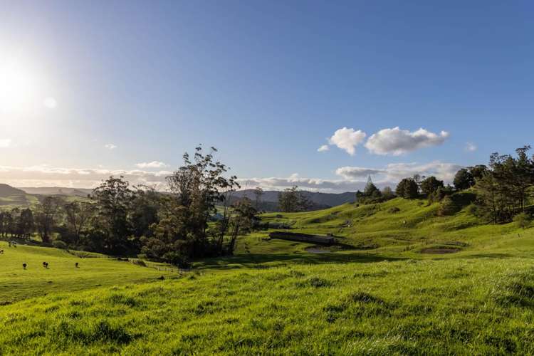 108 Range Road Kawakawa_5