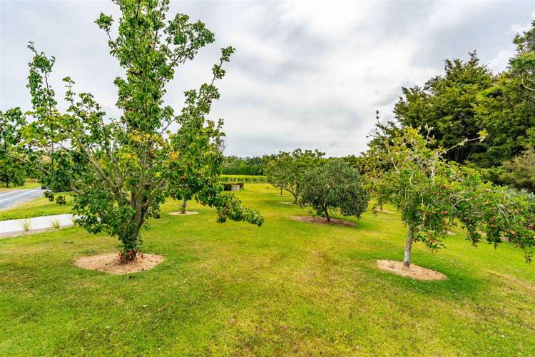 26 Bush Lane Mangawhai_2