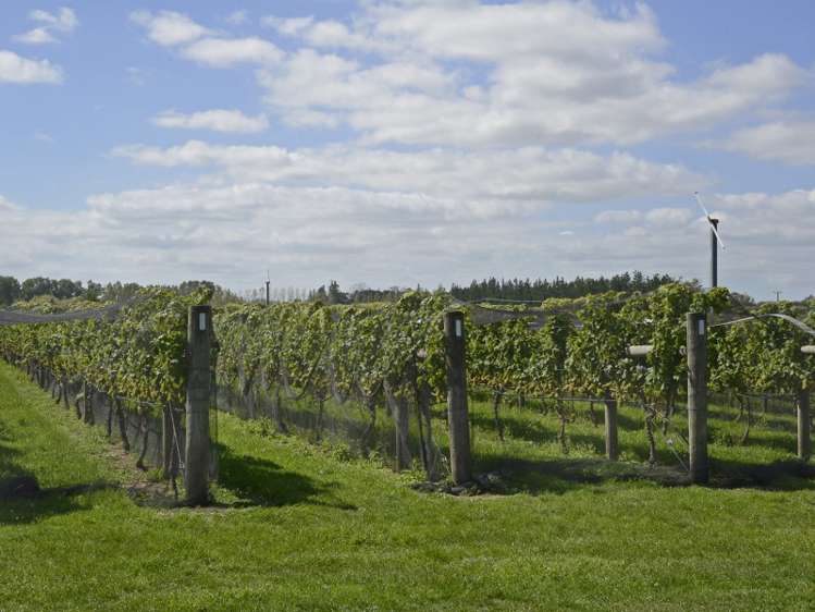 243b Manaia Road Masterton_22