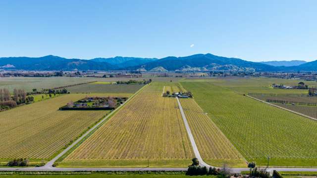 Highly sought after with three year grape supply