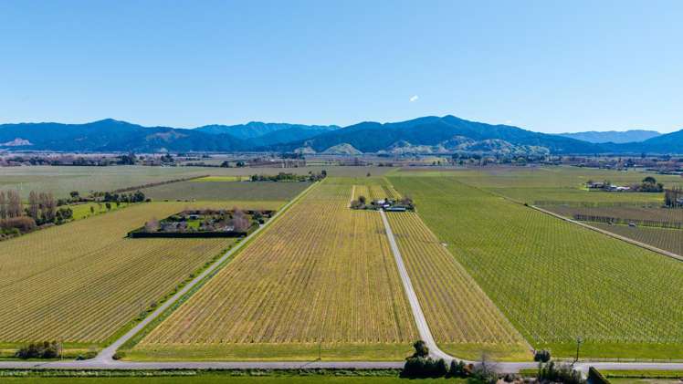 Mills and Ford Road East Grovetown_8