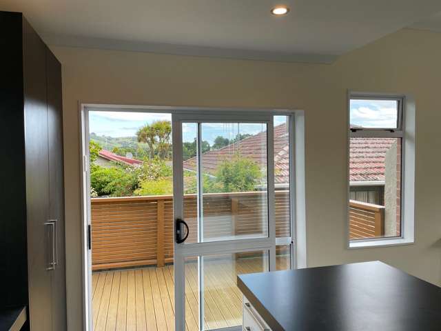 51 North Taieri Road Abbotsford_2