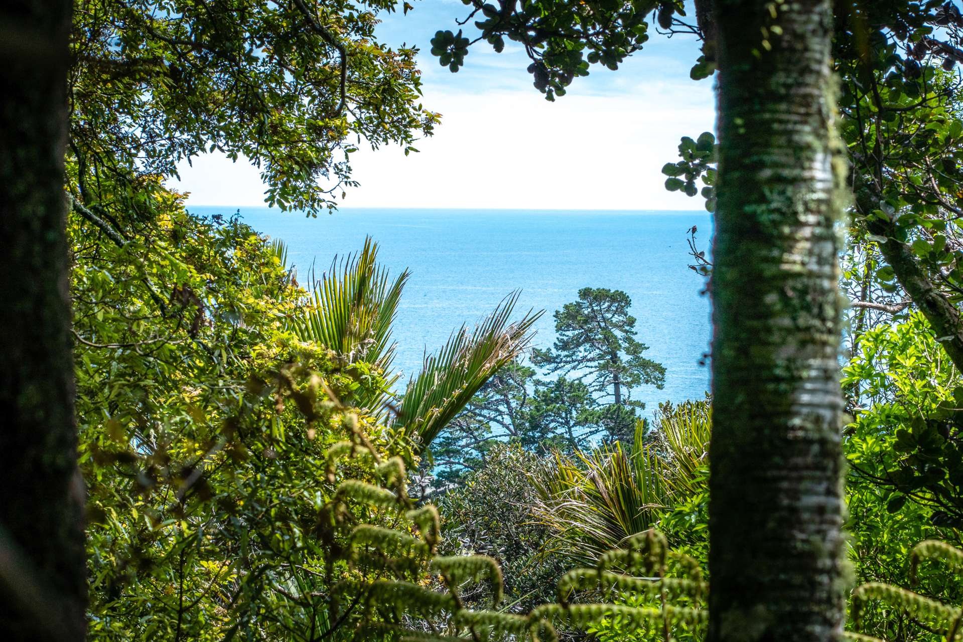 61 Trig Hill Road Onetangi_0