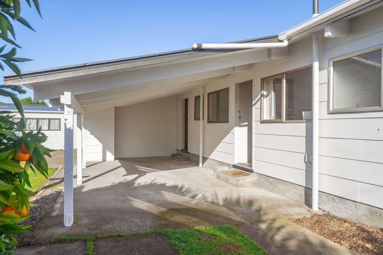 171 East Street Greytown_17