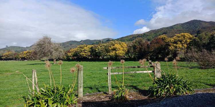 236 Underhill Road Tauwharenikau_14